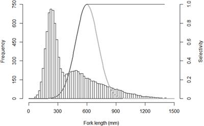 The Effects of Selective Harvest on Japanese Spanish Mackerel (Scomberomorus niphonius) Phenotypic Evolution
